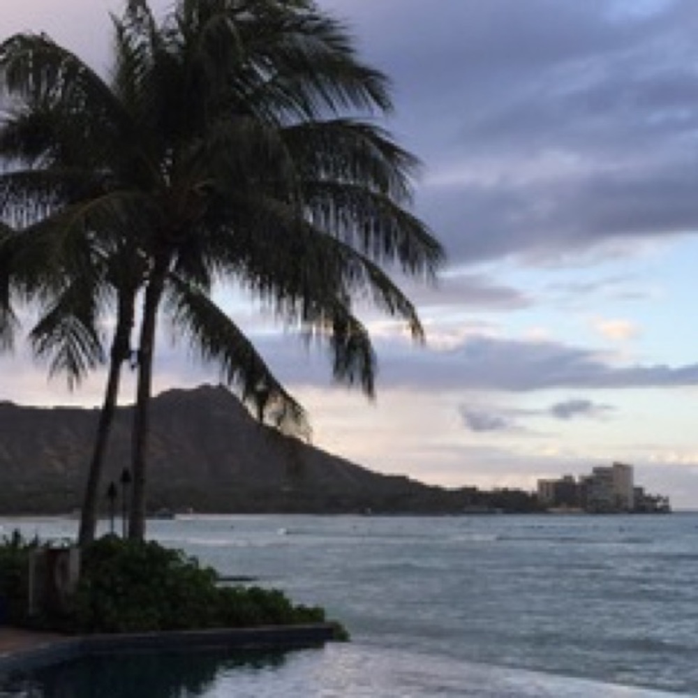 Meet your Posher, Steph